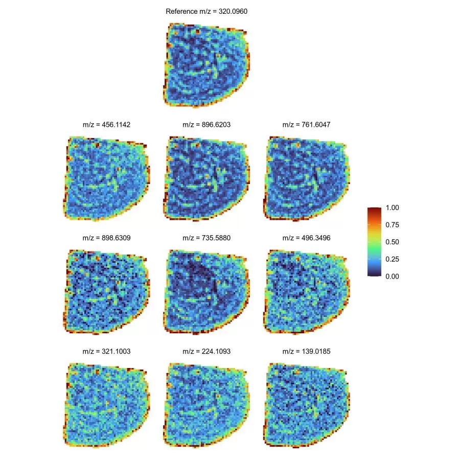 Metabolite Co-localization Spatial Map for top nine Pearson-correlated metabolites